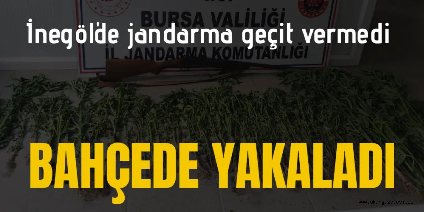 İnegöl'de uyuşturucu operasyonu