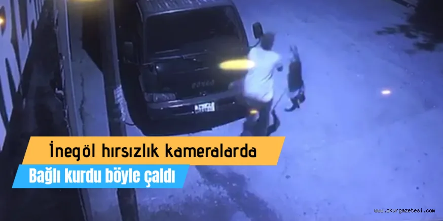 İnegöl'deki hırsızlık kamerada