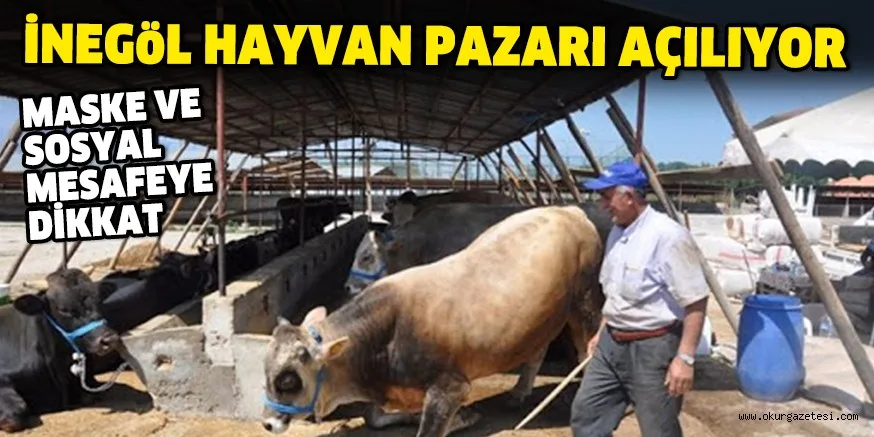 İNEGöL HAYVAN PAZARI AÇILIYOR