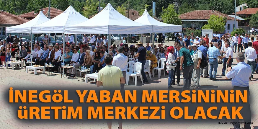 İNEGöL YABAN MERSiNiNiN üRETiM MERKEZi OLACAK