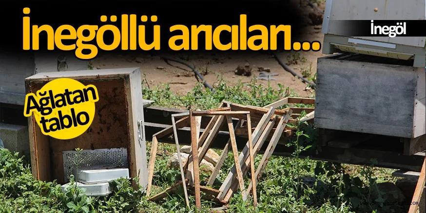 İnegöllü arıcıları sağanak yağış ve dolu vurdu