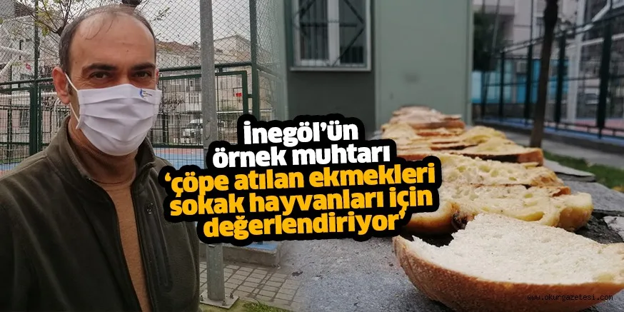 İnegöllü muhtar, çöpe atılan ekmekleri sokak hayvanları için değerlendiriyor