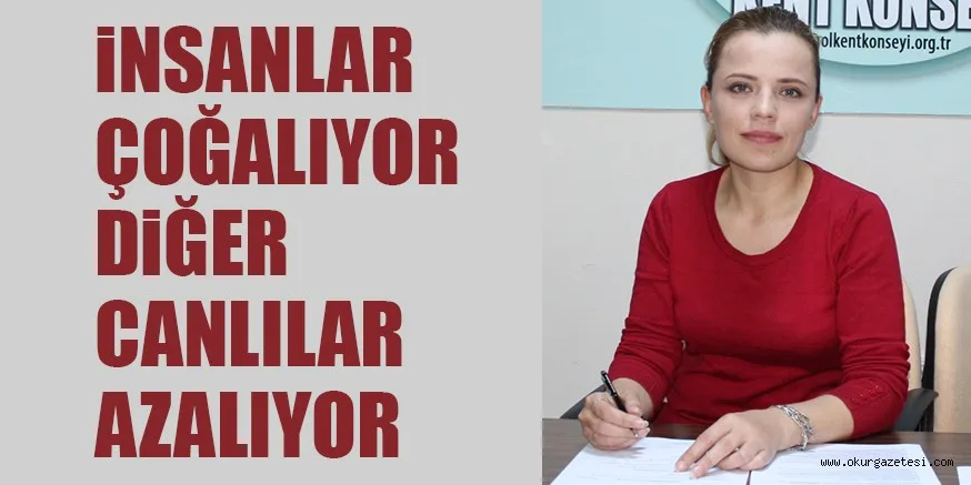 iNSANLAR ÇOĞALIYOR DiĞER CANLILAR AZALIYOR