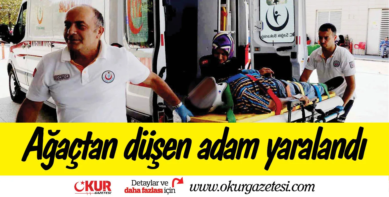 Ağaçtan düşen adam yaralandı