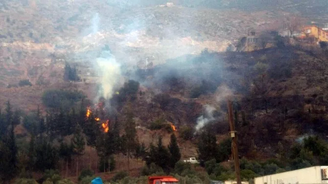 İskenderunda Orman Yangını