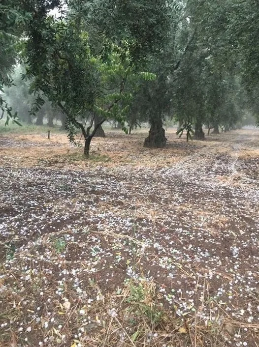 İznike Dolu Yağdı