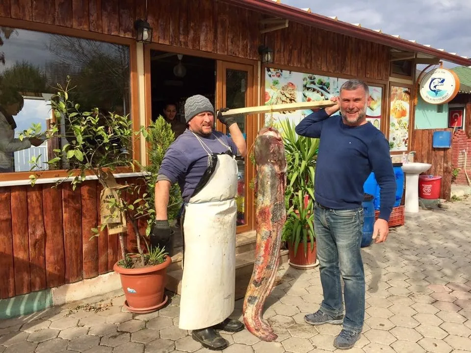 İznikli Balıkçıların Ağına Dev Yayın Takıldı
