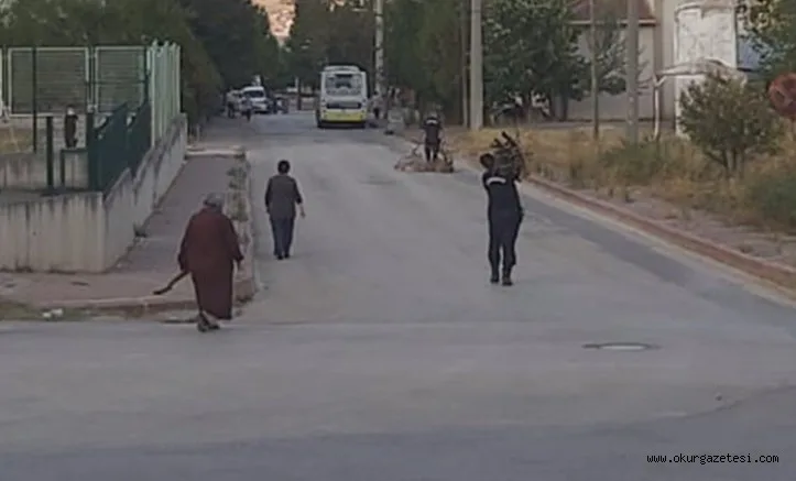 Jandarma odun taşıyan yaşlı kadına yardım etti