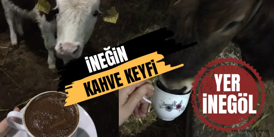 Kahve keyfi