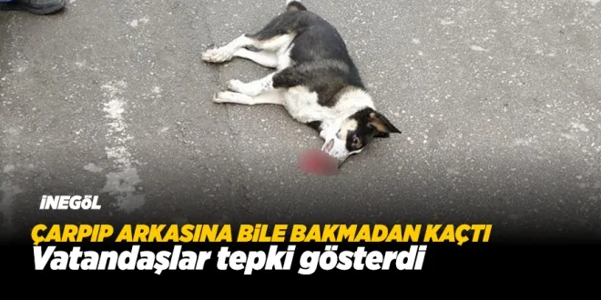 KANLAR iÇERiSiNDE BIRAKIP KAÇTI