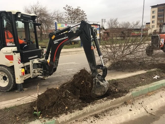 Karacabeyde Ağaçlar Kesilmiyor