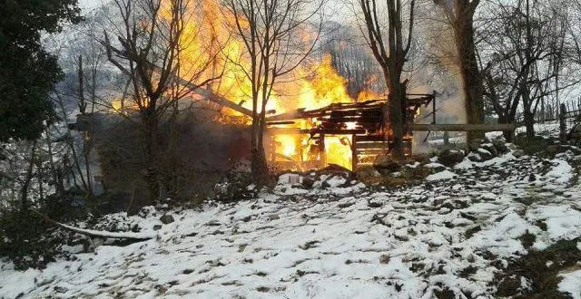 Kastamonuda Ev Ve Ambar Yandı, 8 Hayvan Telef Oldu
