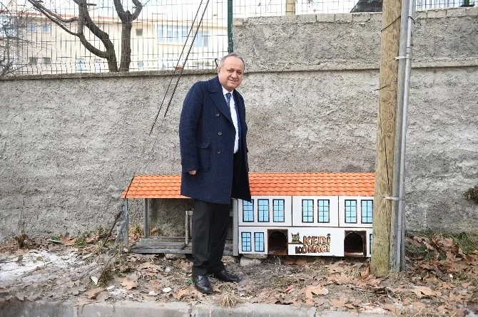 Kastamonuda Sokak Kedilerinin De Artık Yuvası Var