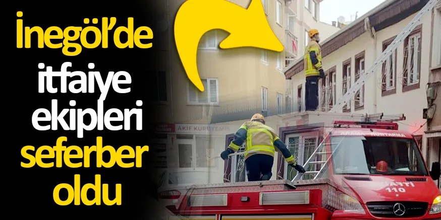 Kedi kurtarma operasyonu