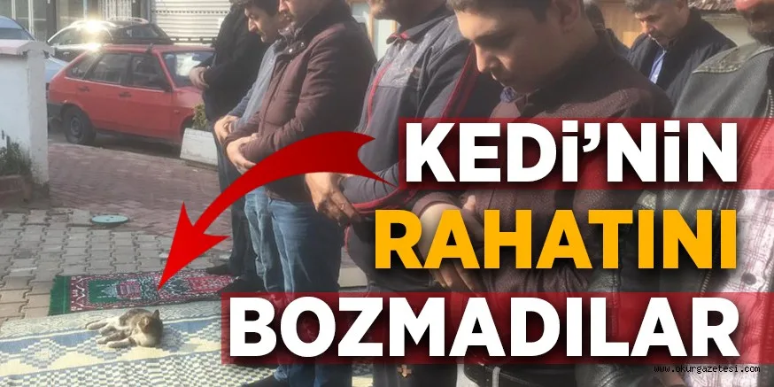 KEDi’NiN RAHATINI BOZMADILAR
