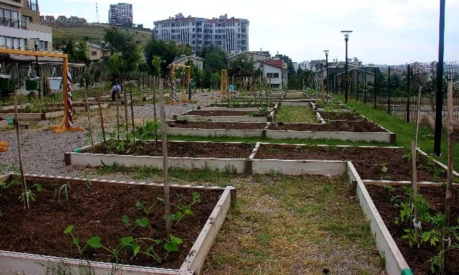 Kent Tarım Hobi Evinde Yeni Eğitimler Şubatta Başlıyor