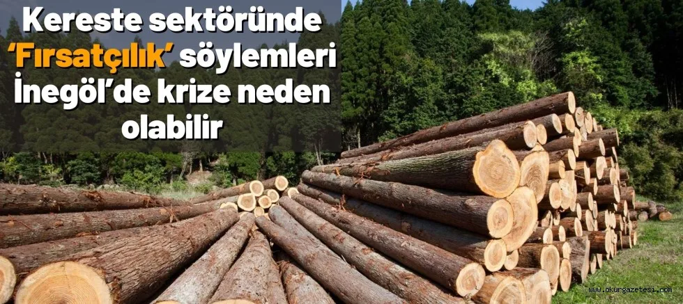 Kereste sektöründe ‘Fırsatçılık’ söylemleri İnegöl’de krize neden olabilir