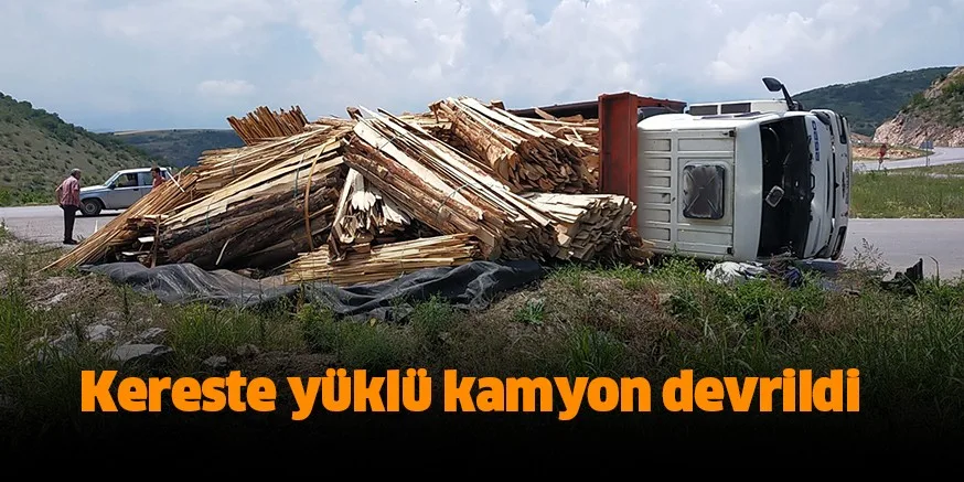 Kereste yüklü kamyon devrildi