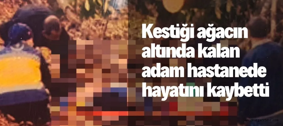 Kestiği ağacın altında kalan adam hastanede hayatını kaybetti