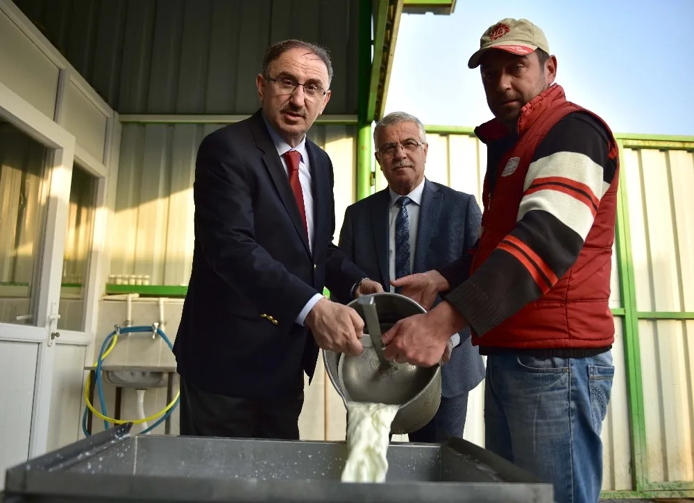 Kırsaldaki Süt Üreticilerine 450 Bin Tllik Katkı
