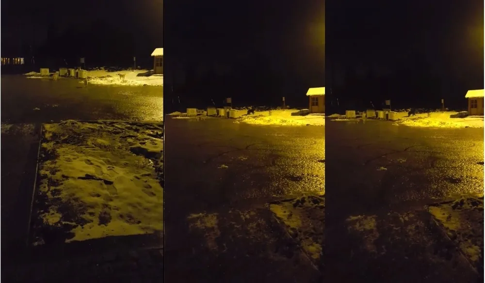 Kış Uykusundan Uyanacağına Pişman Oldu