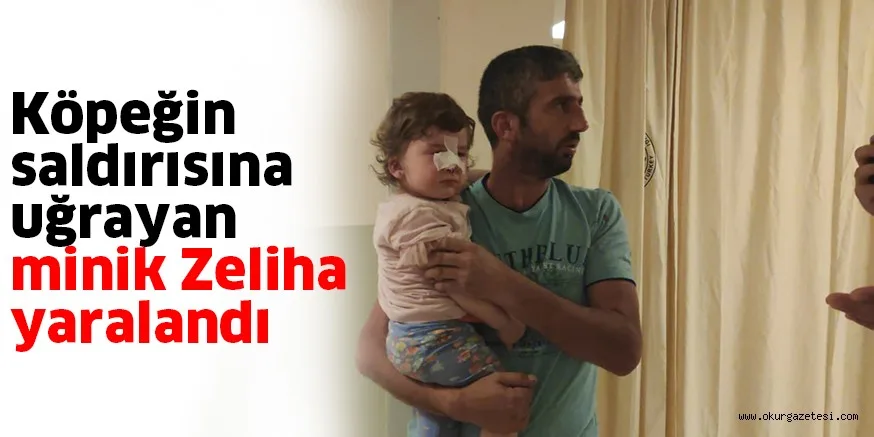 Köpeğin saldırısına uğrayan minik Zeliha yaralandı