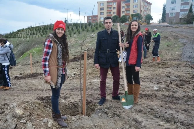 Körfezde Ağaçlandırma Çalışmaları Sürüyor