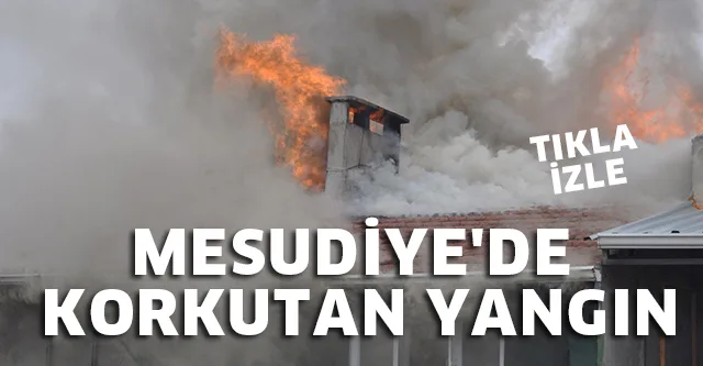 MESUDİYE'DE KORKUTAN YANGIN
