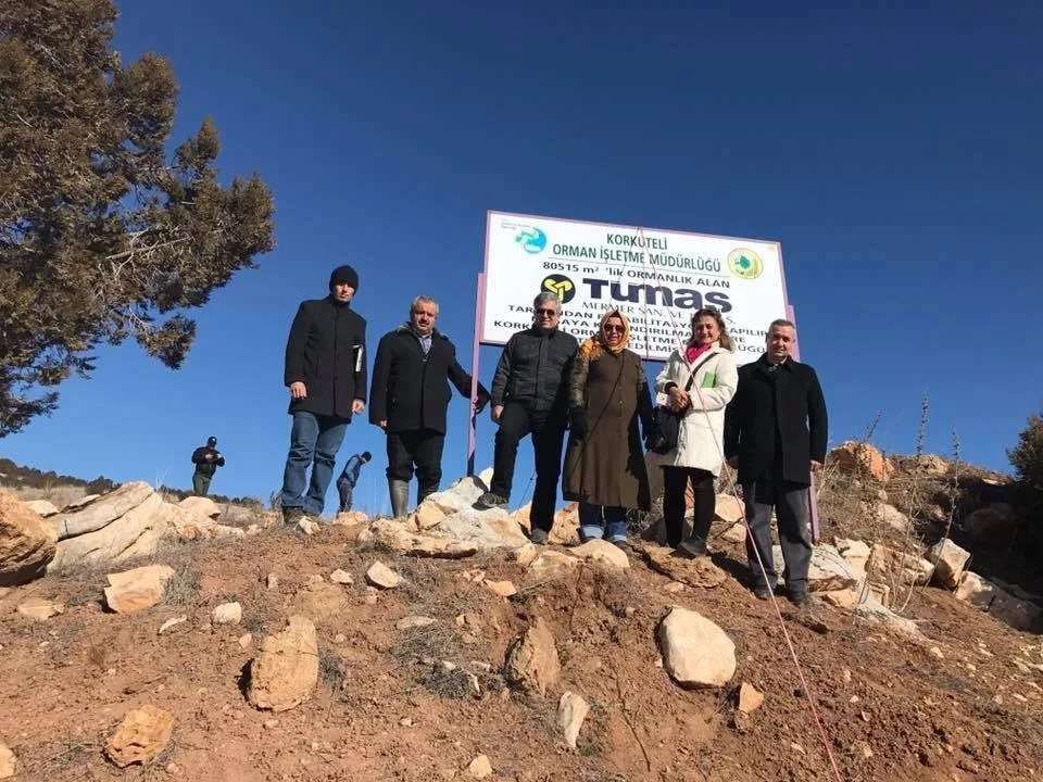 Korkutelide Maden Sahaları Yeşilleniyor