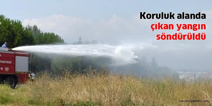 Koruluk alanda çıkan yangın söndürüldü