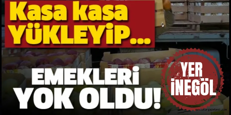 KÖYE HIRSIZLAR DADANDI