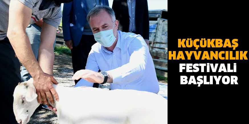 KüÇüKBAŞ HAYVANCILIK FESTiVALi BAŞLIYOR