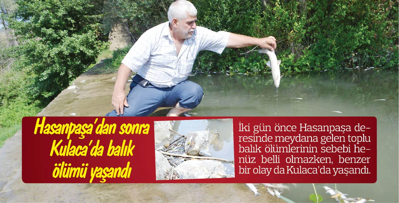 Hasanpaşa'dan sonra Kulaca'da balık ölümü yaşandı