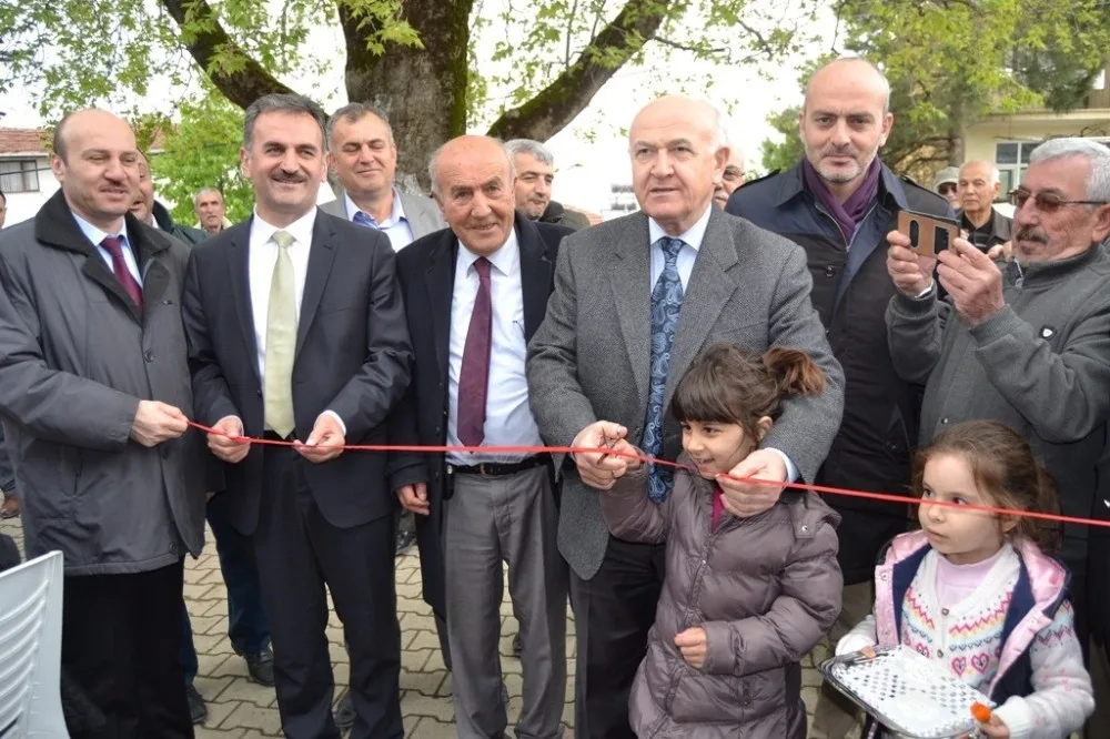 Külliyenin Zeytinleri Gemlikten