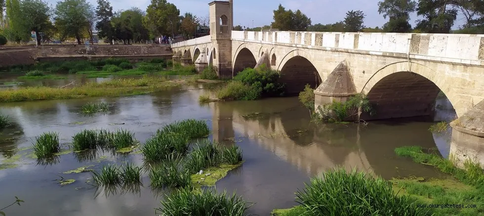 Kuraklık nedeniyle su seviyesi dibe vuran Tunca Nehri'nde ot öbekleri oluştu