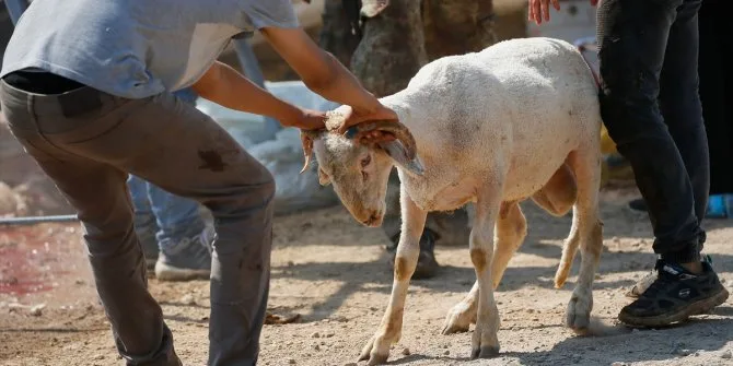 KURBAN KESİM KURSU KAYITLARI BAŞLADI