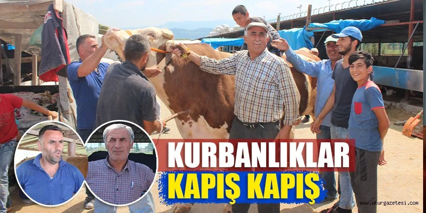 KURBANLIKLAR KAPIŞ KAPIŞ