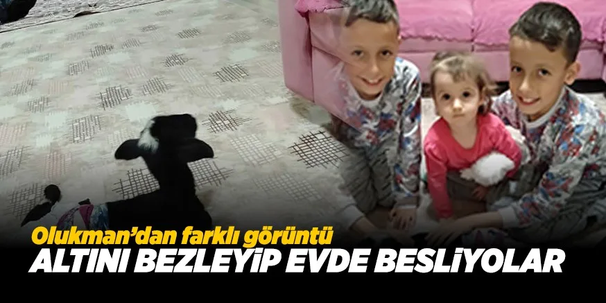 KUZUNUN ALTINI BEZLEYiP EVDE BESLiYORLAR