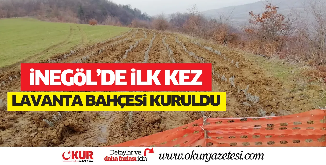 iNEGöL'DE iLK KEZ LAVANTA BAHÇESi KURULDU