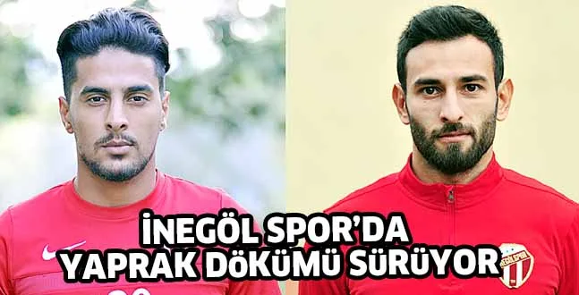 YAPRAK DöKüMü SüRüYOR