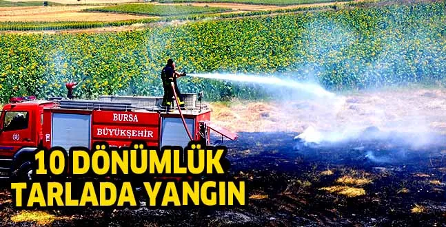 TARLADA YANGIN