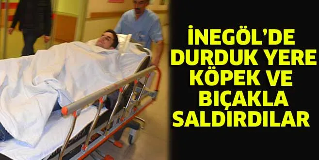 İNEGÖL'DE DURDUK YERE KÖPEK VE BIÇAKLA SALDIRDILAR