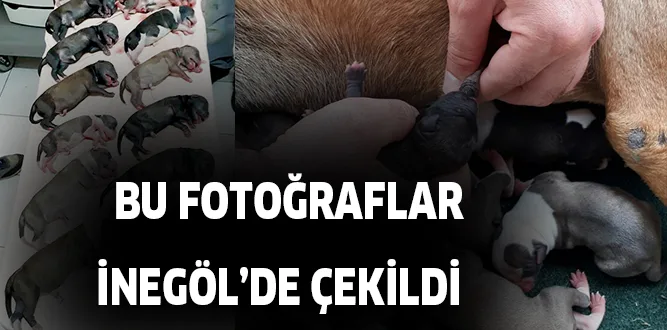 BU FOTOĞRAFLAR İNEGÖL'DE ÇEKİLDİ