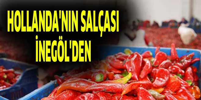 HOLLANDA'NIN SALÇASI İNEGÖL'DEN