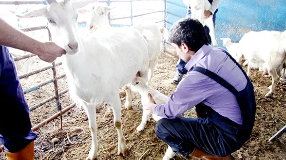 SON 10 YILDA 77.5 MiLYONLUK DESTEK