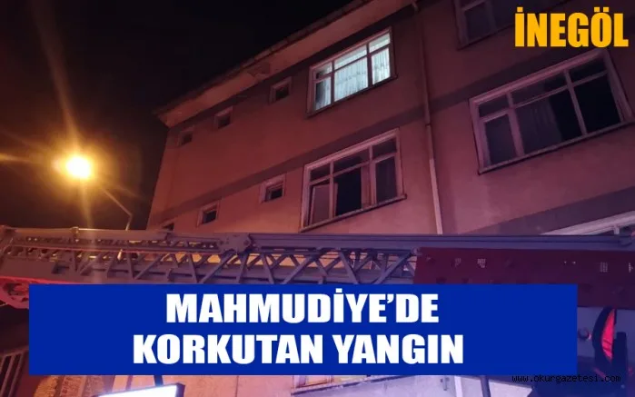 Mahmudiye'de korkutan yangın