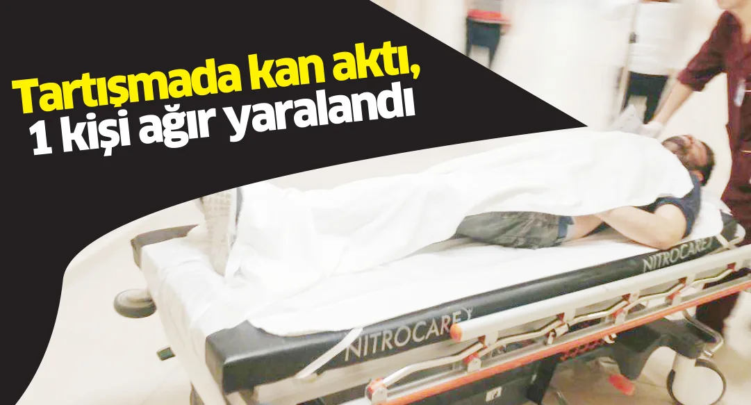 Tartışmada kan aktı, 1 kişi ağır yaralandı