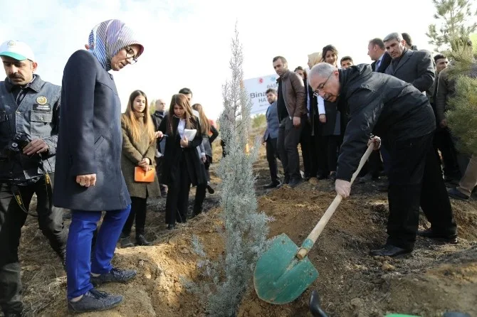 Mardinde Bereket Ormanlarına Fidan Dikildi