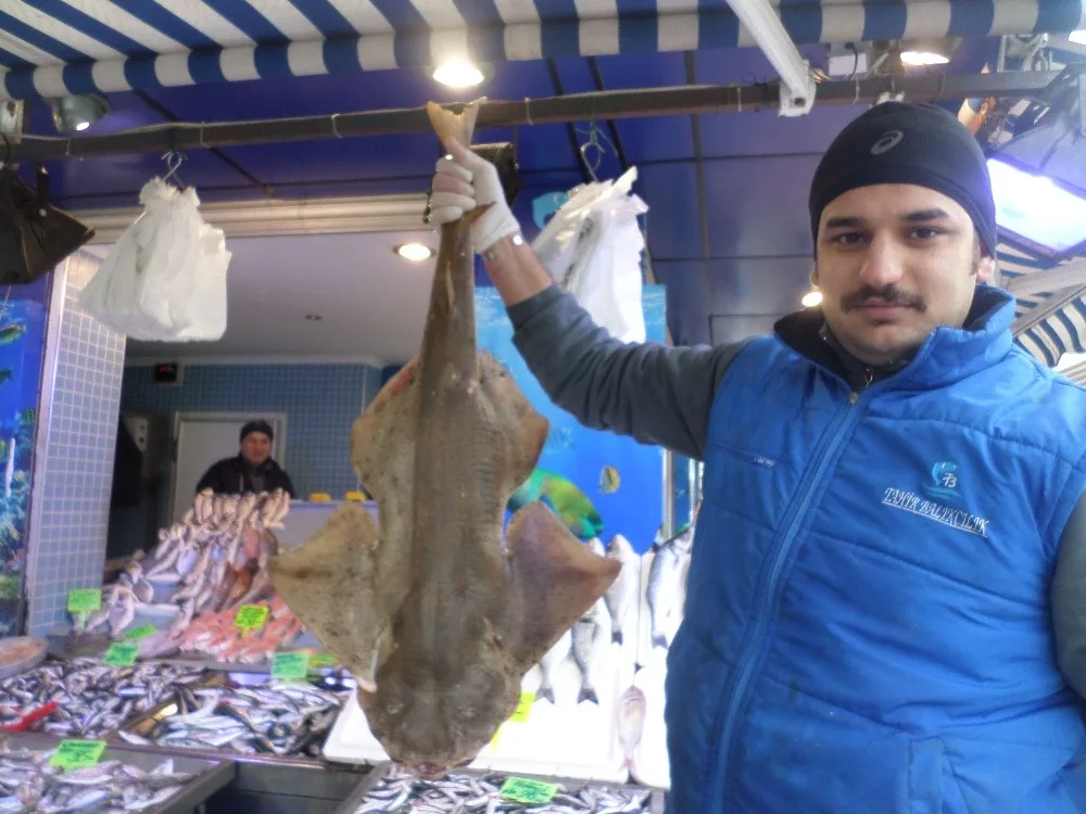 Marmara Denizinde Balıkçı Ağlarına Köpekbalığı Takıldı