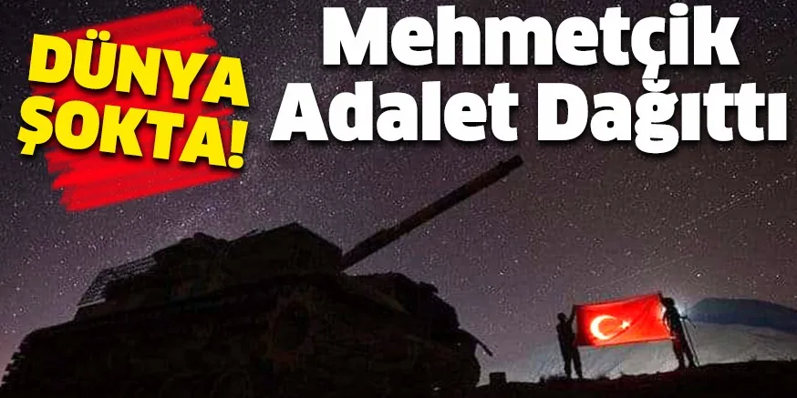 Mehmetçik Adalet Dağıttı